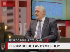 Ricardo Diab (vino): “Las PYME están en un recinto debido a la falta de consumo y pérdida de rentabilidad”