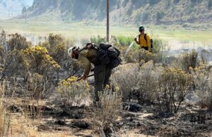 La contención crece en incendios cerca de Meeker