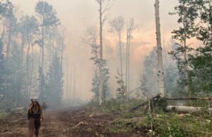 Los incendios forestales en la pendiente occidental de Colorado consumen casi 170,000 acres