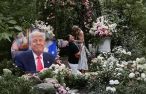 Incluso el presidente Donald Trump reaccionó a Taylor Swift y el compromiso de Travis Kelce. ¿Qué dijo él?