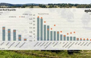 Reputación dorada: las exportaciones de carne de res son diversas, respetadas y cultivadas