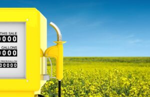 Australia invierte $ 1.1B en el sector de biocombustibles locales | Granja semanalmente