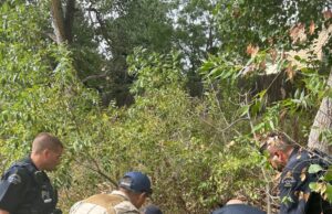 Bear atrapado en Broomfield reubicado