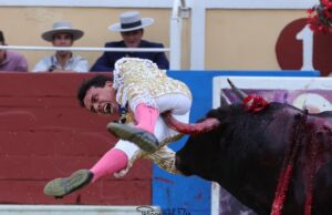 Juan de Castilla, entre la vida y el arte: dos bahías muy serias en Bayona