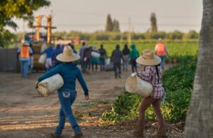 1,2 millones de inmigrantes se han ido de la fuerza laboral de los Estados Unidos bajo Trump, según muestran los datos preliminares