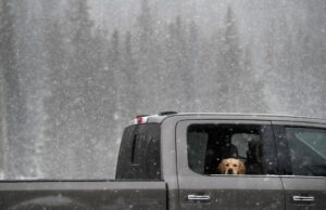 Pronóstico de nieve peligrosa para altas montañas