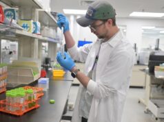 Colorado para verificar la marihuana para la contaminación