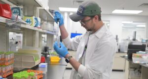 Colorado para verificar la marihuana para la contaminación