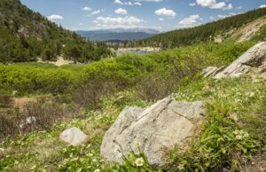 El escalador muere después del otoño en el condado de Clear Creek