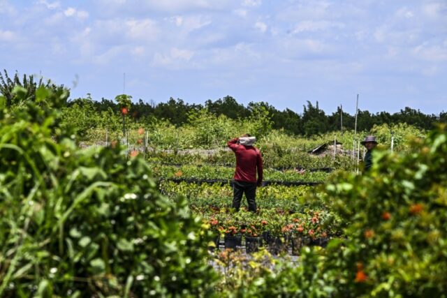 migrant-worker-florida.jpg