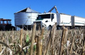 El potencial de cultivo general de WA mejora a la parte posterior de las condiciones climáticas leves