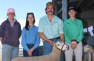 Yonga Downs Stud Ram vende a una parte superior de $ 2800 en Broomehill | Granja semanalmente