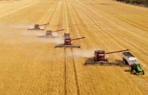 El inversor estadounidense desinversa su gran participación en las tierras de cultivo australianas | Granja semanalmente