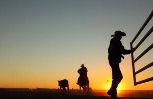 La espada de doble filo del aumento de los precios de las tierras de cultivo se desarrolla en Australia