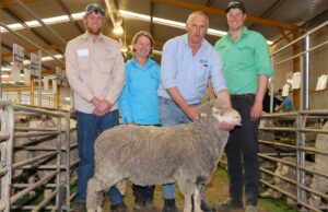 Ventas récord vistas en la venta RAM de Esperance Breeders la semana pasada | Granja semanalmente
