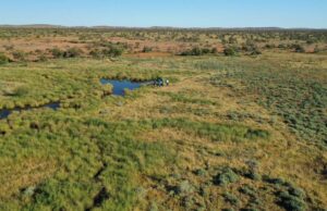 Financiación asegurada para un proyecto de biodiversidad pastoralista en el Gascoyne