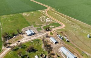 Las parcelas de tierra cerca de Dowerin en Central Wheatbelt se pueden combinar o dividir