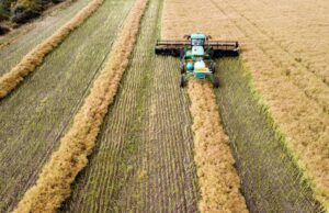 Campaña global lanzada para Telopea Downs después de que la inversión de $ 70 millones valga la pena vale la pena