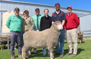 Button Family celebró 75 años con Poll Merino ganando $ 9100. | Granja semanalmente