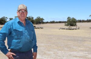 La nueva serie de podcast comparte las experiencias de la paternidad rural en Australia