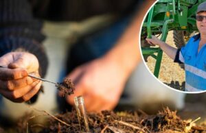 ‘Padrino de impuestos al carbono’: el agricultor pide boicot de la cumbre universitaria
