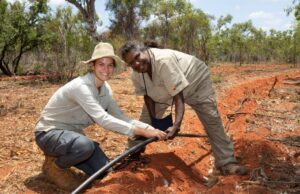 Bush Tucker es un salvavidas para la restauración y desarrollo de la comunidad del ecosistema