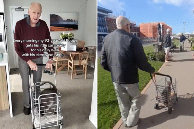 walter-annett-angus.png