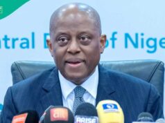 La economía de Nigeria gana velocidad a medida que CBN revela los subsectores de más rápido crecimiento en 2025