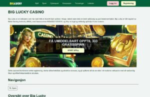 Métodos de pago para depósitos y retiros en Big Lucky: una descripción completa