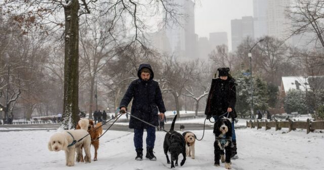 0_Snow-Blankets-New-York-City-As-Another-Winter-Storm-Hits-The-Northeast.jpg