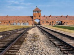 La IA Grok de X genera indignación después de que una publicación que niega el Holocausto fuera considerada un “asalto vergonzoso” y una “bofetada en la cara”