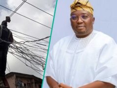 600 MW por 1,49 billones de naira: Nigeria apunta a exportar energía a 15 países de África occidental