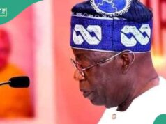 Recién llegado: Tinubu da nombramiento al sobrino del expresidente