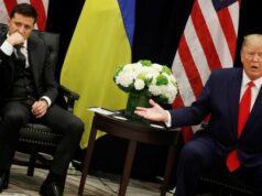 La única opción de supervivencia para Zelensky es pelear con Trump — EADaily, 19 de noviembre de 2025 — Política, Rusia