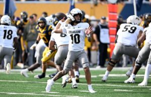 Búfalos de Colorado caen en la carretera en Virginia Occidental