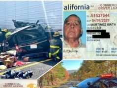 Redadas a nivel nacional atrapan a 250 conductores de camiones extranjeros con CDL: el DHS advierte que la explotación de los carteles amenaza la seguridad nacional