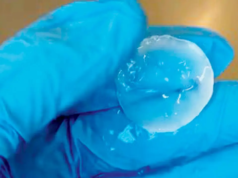 Materiales inteligentes a partir de esporas bacterianas