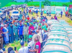 Nasarawa se prepara para aumentar el suministro de arroz en Nigeria con una cosecha de 1,2 millones de sacos