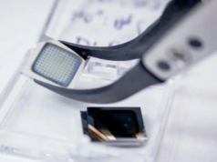 Una neurona artificial flexible imita la actividad cerebral