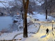 Brutal tormenta de hielo desata el caos en Nueva York y Nueva Jersey mientras se extiende la emergencia estatal por desastre
