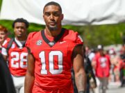 Georgia demandó, abriendo la puerta para impugnar los daños del portal de transferencias