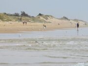 El gobierno de Allan aprueba dos proyectos mientras se avecinan déficits