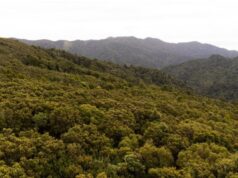 Familia salva la vida de un hombre con un círculo de calor humano