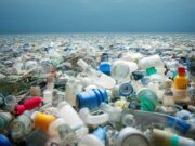 Cómo estas súper enzimas podrían revolucionar lo que pensamos sobre el plástico