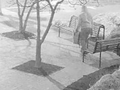 Sospechoso del caso de bomba casera en el Capitolio de EE. UU. arrestado en enero de 2021