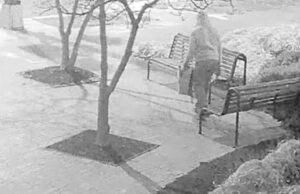 Sospechoso del caso de bomba casera en el Capitolio de EE. UU. arrestado en enero de 2021