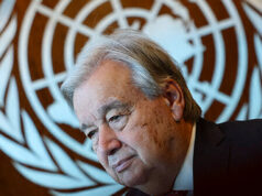 Las Naciones Unidas deben volverse “activas” en la búsqueda de la “paz mundial”