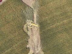 Propietarios de negocios en Colorado disputan tras la muerte de su socio en un accidente aéreo