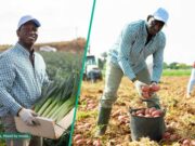 “Se le ocurrió un plan rápido”: el propietario de una granja comparte cómo detuvo ‘inteligentemente’ el intento de vacaciones de sus trabajadores