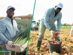 “Se le ocurrió un plan rápido”: el propietario de una granja comparte cómo detuvo ‘inteligentemente’ el intento de vacaciones de sus trabajadores